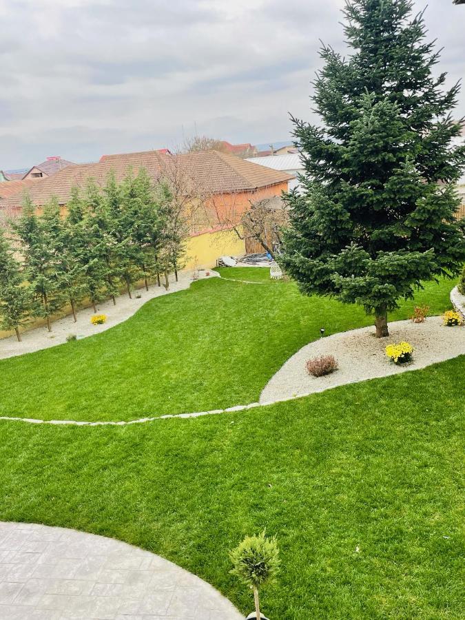 Cochet Boutique Otel Târgu Jiu Dış mekan fotoğraf